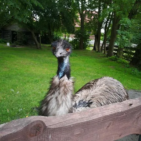 Hcr Дом отдыха Grimmen