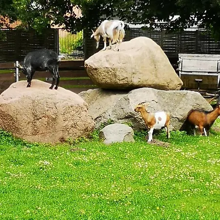 Дом отдыха Hcr Grimmen